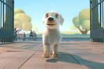 Pip：励志短片，“蠢萌”的导盲犬