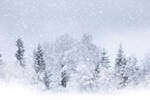 关于雪的诗句，描写雪和雪景的诗词100句